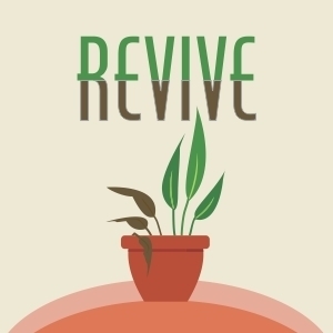 revive women's bible study