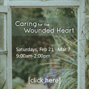Caring for the Wounded Heart button