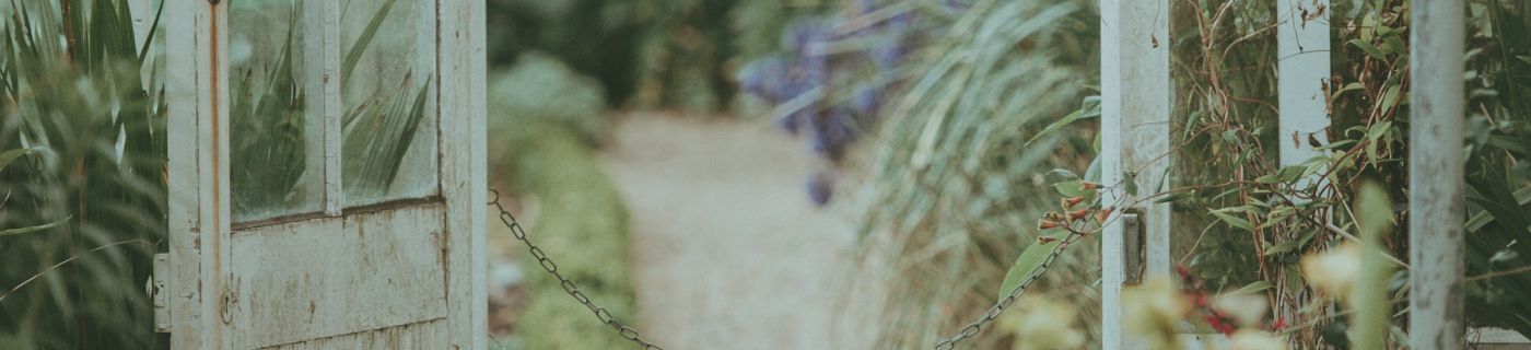 Women's Web Banner 2025